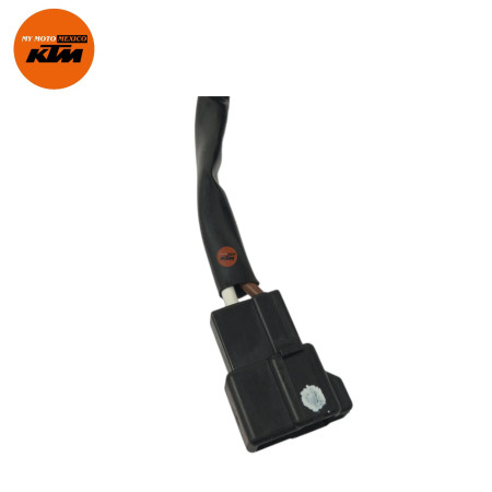 Iginition Switch Completo