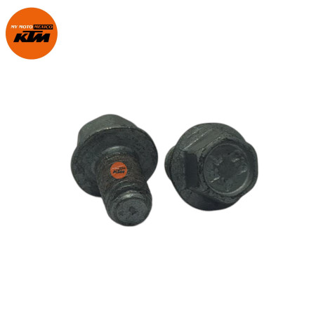 Pinon Sproket Delantero