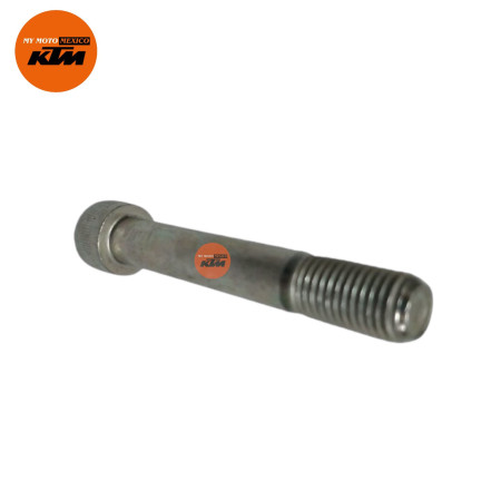Tornillo Amortiguador