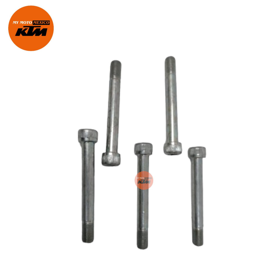 Tornillo Amortiguador