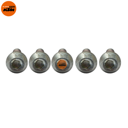 TORNILLO DE PEDAL DE CAMBIOS KTM DUKE 200 DUKE 390