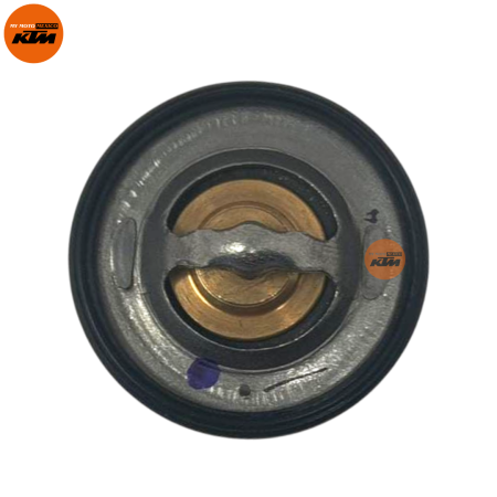 TERMOSTATO KTM DUKE 250 GEN-3 SVARTPILEN 401