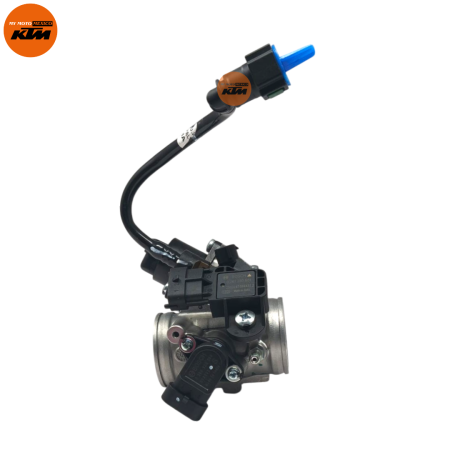 CONJUNTO CUERPO DEL ACELERADOR