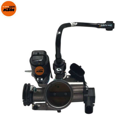 CONJUNTO CUERPO DEL ACELERADOR