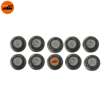 TORNILLOS M6X1X10L KTM DUKE 200 DUKE 250 DUKE 390 RC 200 RC 390 ADVENTURE 250 ADVENTURE 39O