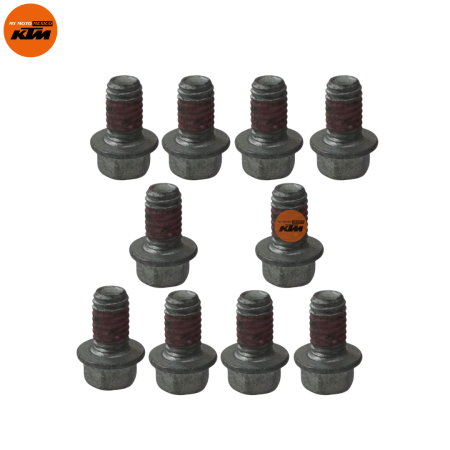 PERNO M6X1X10L-PRE-REVESTIDO