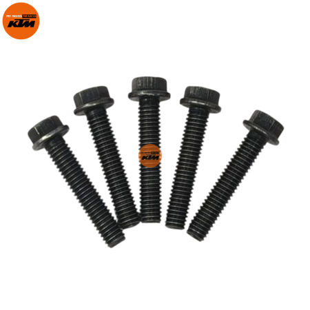 TORNILLOS KTM ADVENTURE 250 ADVENTURE 390