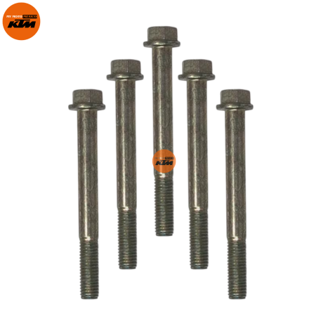 TORNILLOS KTM DUKE 200 DUKE 250 DUKE 390