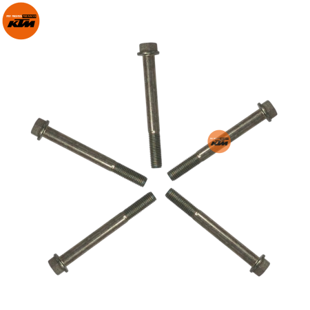 TORNILLOS KTM DUKE 200 DUKE 250 DUKE 390
