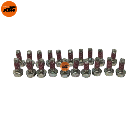 TORNILLOS HEXAGONALES KTM DUKE 200 DUKE 250 DUKE 390 RC 200 RC 390 ADVENTURE 250 ADVENTURE 390