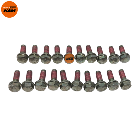 TORNILLOS HEXAGONALES KTM DUKE 200 DUKE 250 DUKE 390 RC 200 RC 390 ADVENTURE 250 ADVENTURE 390