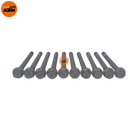 TORNILLOS KTM DUKE 250 DUKE 390 ADVENTURE 250 ADVENTURE 390