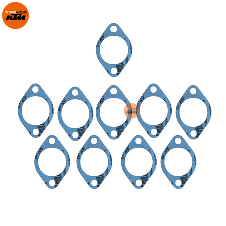 Junta De Tensor De Cadenilla