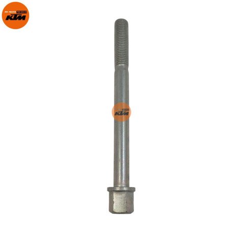 Tornillo especial para protector de pierna derecho
