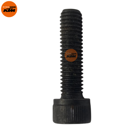 BOLT SOCKET BLACK