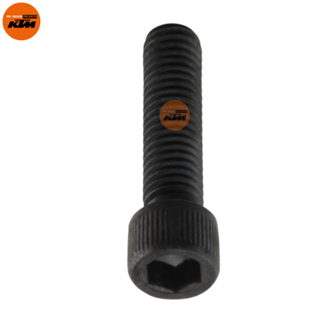 BOLT SOCKET BLACK