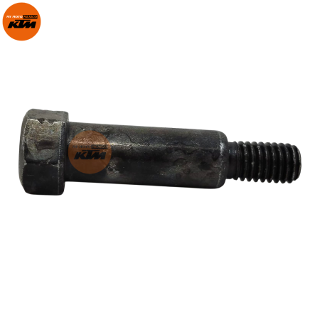 BOLT CHAIN CASE MTG
