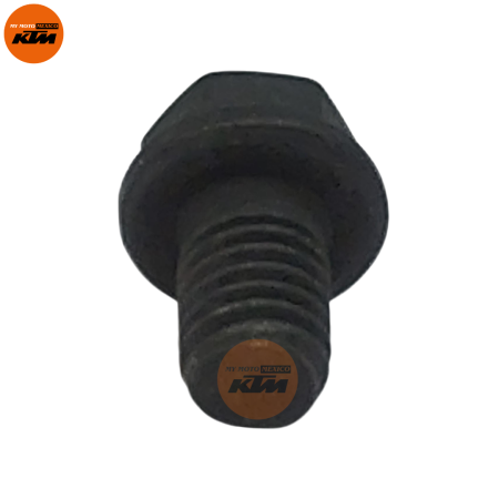 BOLT FLANGED SMALL