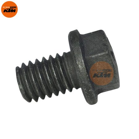 BOLT FLANGED SMALL