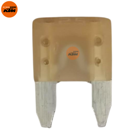 Fuse 25A