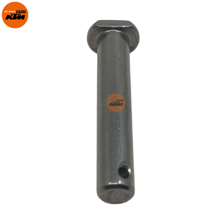 PIN FOOTPEG PIVOT