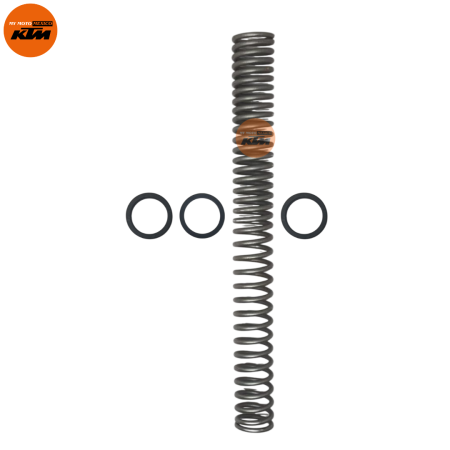 ASSEMBLY MAIN SPRING AND WASHER