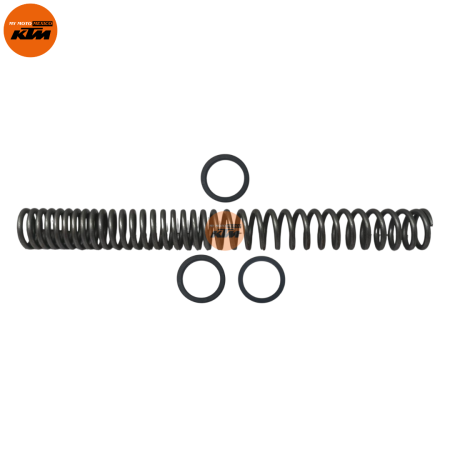 ASSEMBLY MAIN SPRING AND WASHER
