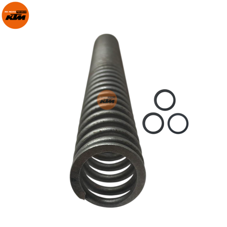 ASSEMBLY MAIN SPRING AND WASHER