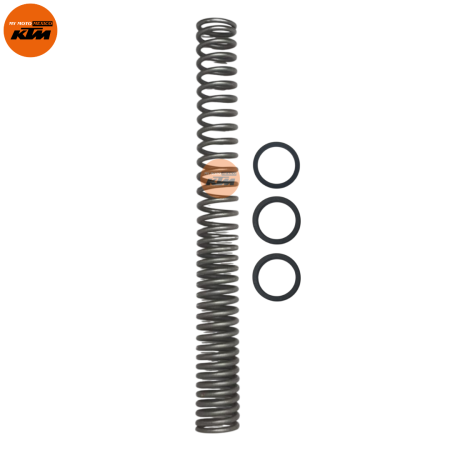 ASSEMBLY MAIN SPRING AND WASHER
