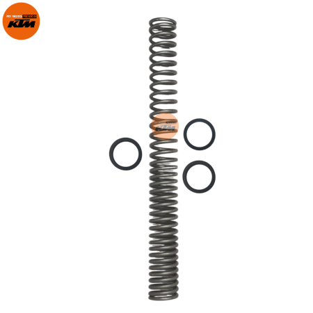 ASSEMBLY MAIN SPRING AND WASHER