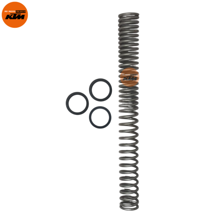 ASSEMBLY MAIN SPRING AND WASHER