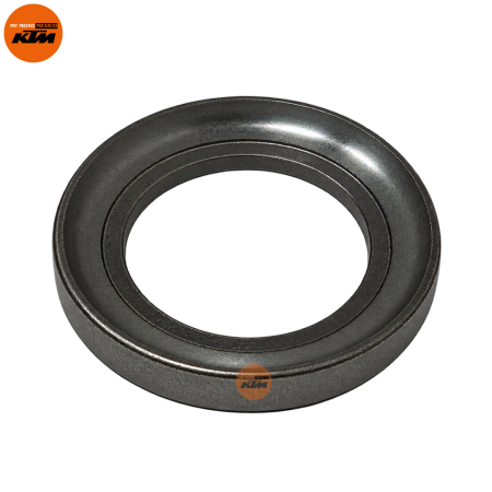 Bearing Race Lower
