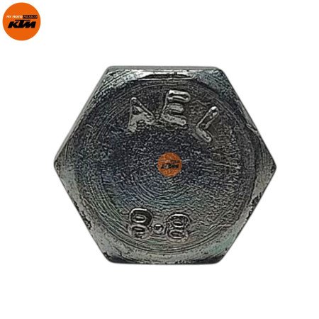 BOLT SOCKET