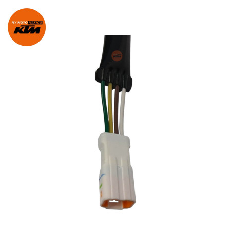 Faro Trasero